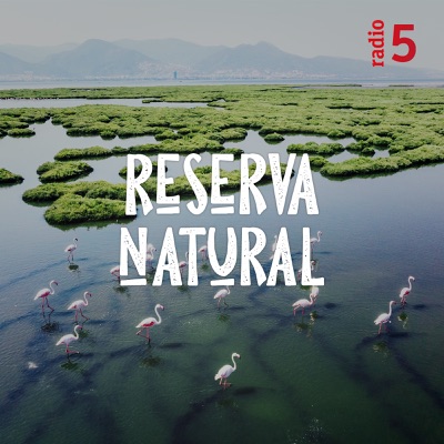 Reserva natural Reserva natural