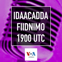 Idaacadda Fiidnimo - VOA