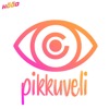PIKKUVELI