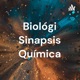 Biológi Sinapsis Química