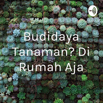 Budidaya Tanaman? Di Rumah Aja