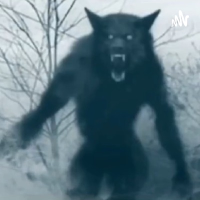 In The Dark (Bigfoot, Dogmen, Aliens, All Things Supernatural) In The Dark (Bigfoot, Dogmen, Aliens, All Things Supernatural)