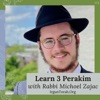 3 Perakim daily with Rabbi Michoel Zajac artwork