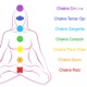 7 chakras