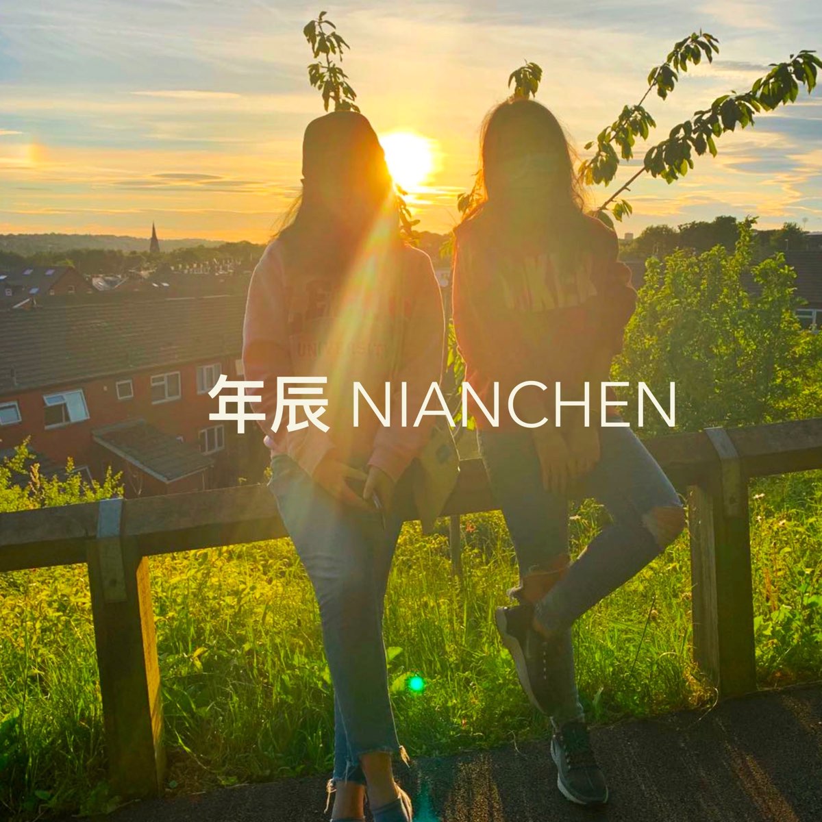 Vol 14 给xxx的一些不成熟的小建议 Nianchen年辰对谈 Apple Podcasts