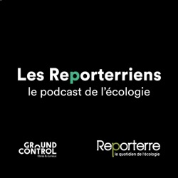 Les Reporterriens