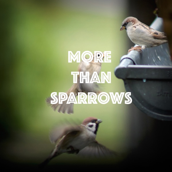 More Than Sparrows
