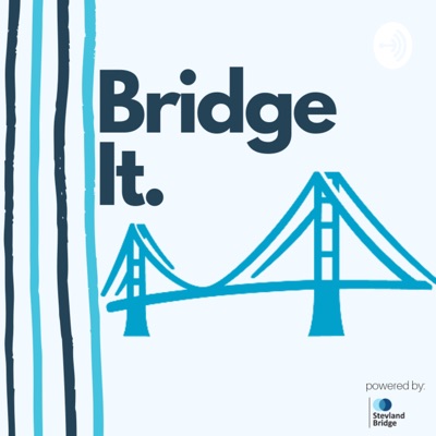 Bridge It.:Stevland Bridge SVB