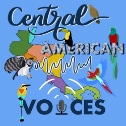 Central American Voices