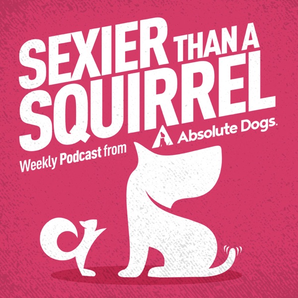 Sexier Than A Squirrel: Dog Training That Gets Real Life Results Artwork