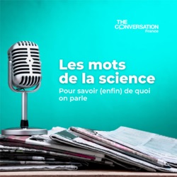 « A » comme agroécologie