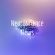 Neuroscience News