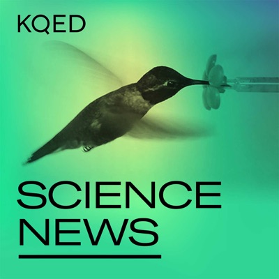 KQED Science News:KQED