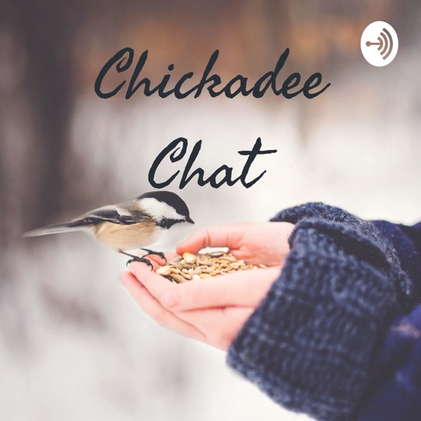 Chickadee Chat
