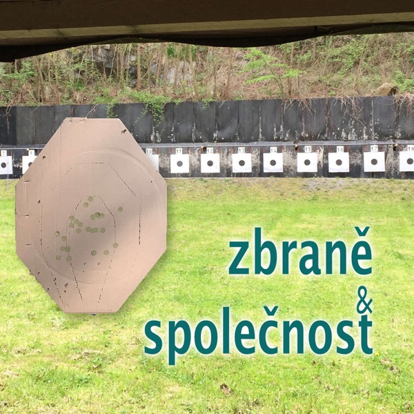 Zbraně a společnost