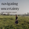 Navigating Uncertainty artwork