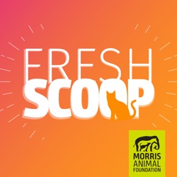 Fresh Scoop