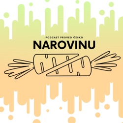 Narovinu s blogerkou Marií Donajovou alias MaruškaVeg