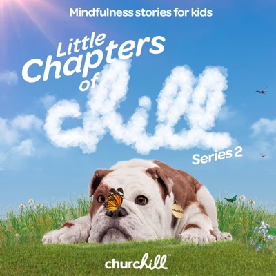 Little Chapters of Chill