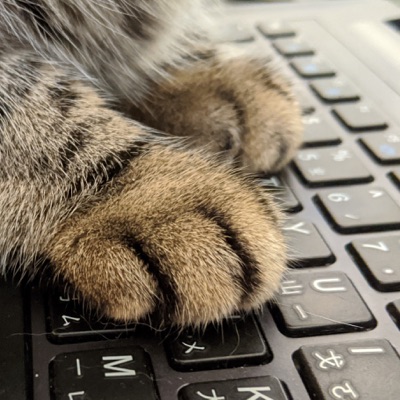 貓貓腳印 Catprint 貓貓腳印 Catprint