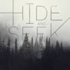 Hide and Seek - James Baysinger