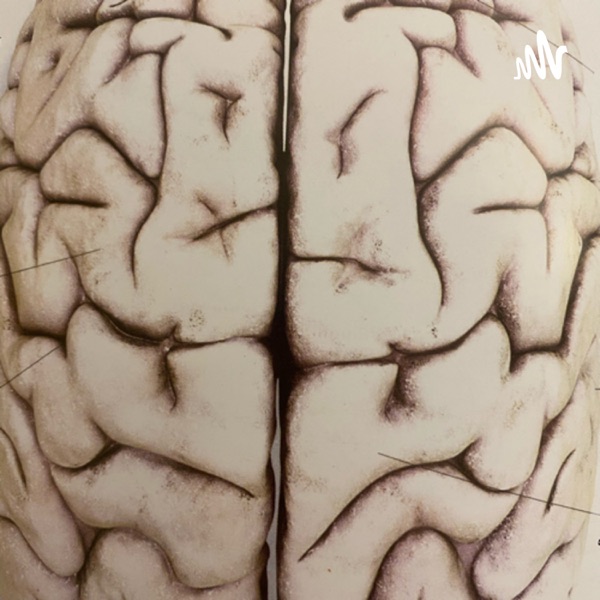 Explanation of Brain function by Deniz