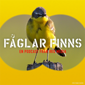 Fåglar finns - Iris media