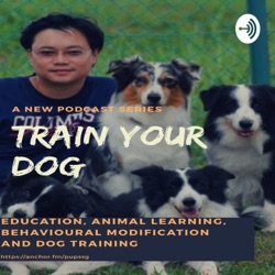 DTS031 - Train Your Dog Podcast - Maturity Stage with Sue Yeap