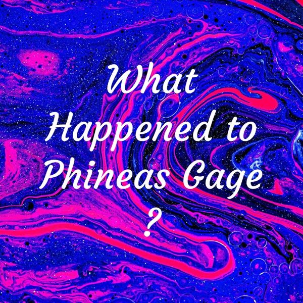 What Happened to Phineas Gage ?