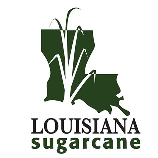 Louisiana Sugarcane News Artwork