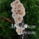 Mycelium Dream (Trailer)