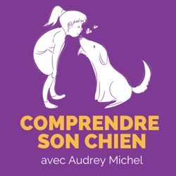 17. Trois questions puissantes pour transformer tes entraînements et ta relation avec ton chien