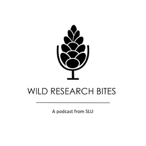 Wild Research Bites - a podcast from SLU