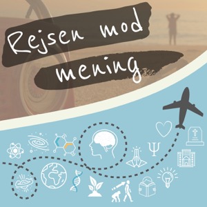 Rejsen mod mening