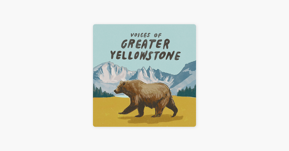 Protecting Grizzly Bears — Greater Yellowstone Coalition