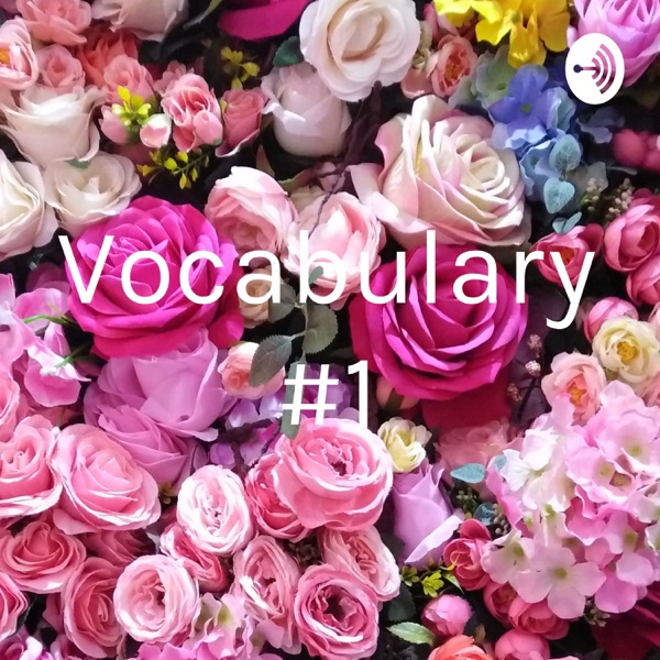 Vocabulary #1