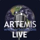 144: Cyber catastrophe bond developments panel - Artemis London 2023