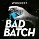 Where to find Episodes 2-6 of Bad Batch