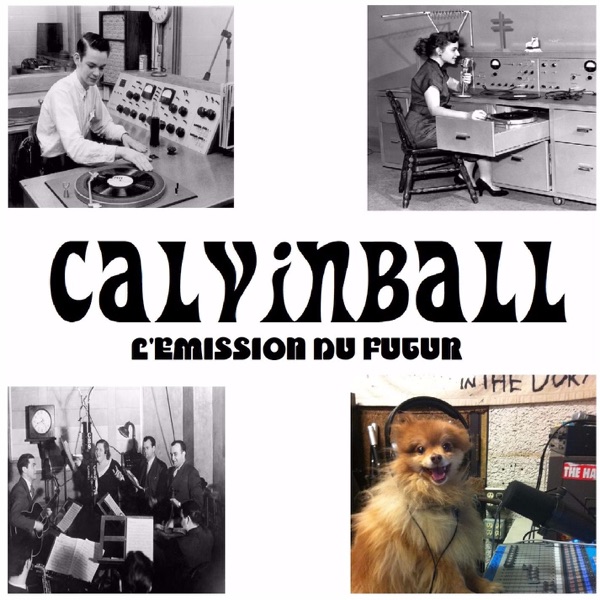 Calvinball