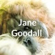 Jane Goodall 