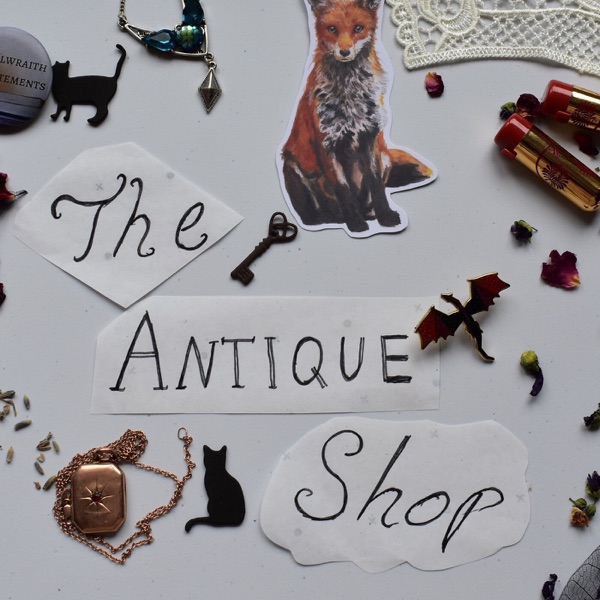 The Antique Shop image