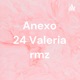 Anexo 24 SAT