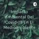 Impacto Ambiental Del Covid-19 En El Medioambiente