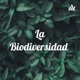 La Biodiversidad 🐛🍃🌿🌱