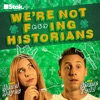 We're Not F***ing Historians artwork