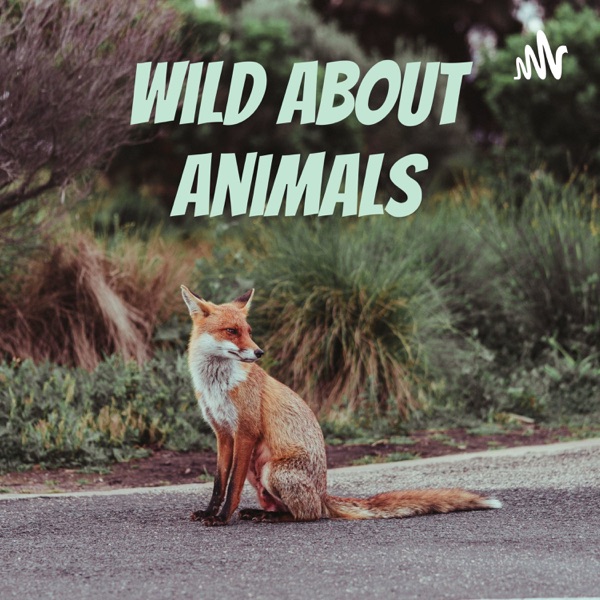 Wild About Animals Artwork