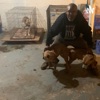 Let’em Roll Kennels, Talking Dog’s artwork