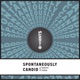 MW Presents: Spontaneously Candid, a McCann Worldgroup Podcast