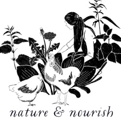 Nature Connection in Summer-Activities to Inspire Connected Living