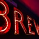 Brewdog News